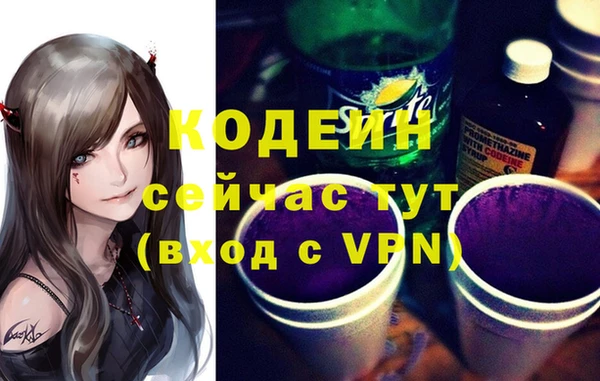 соль ск Нея